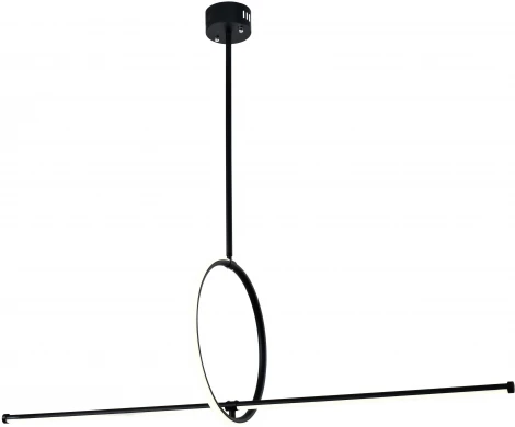 Потолочная люстра на штанге Zortes Dasy ZRS.57787.49 (LED, 220V, кольцо)