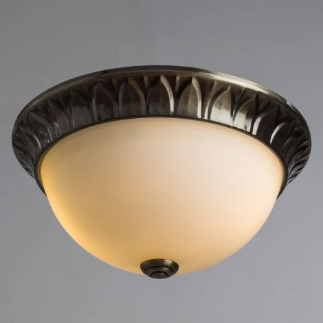 Потолочный светильник Arte Lamp Porch A7838PL-2AB