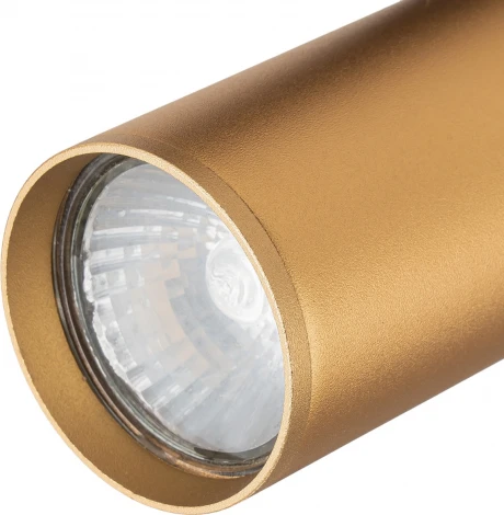 Трековый светильник однофазный Escada 20001 20001TRA/01 BR 1x50Вт GU10, металл, латунь матовая (220V, круглые)