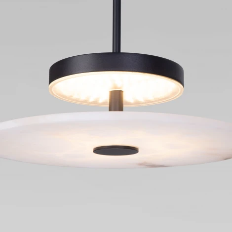 Подвесной светильник черный Eurosvet Thasos 40342 LED (220V, на проводе, круглые)