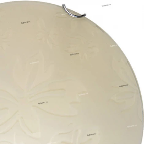 Настенно-потолочный светильник Toplight Jane TL9641Y-00WH