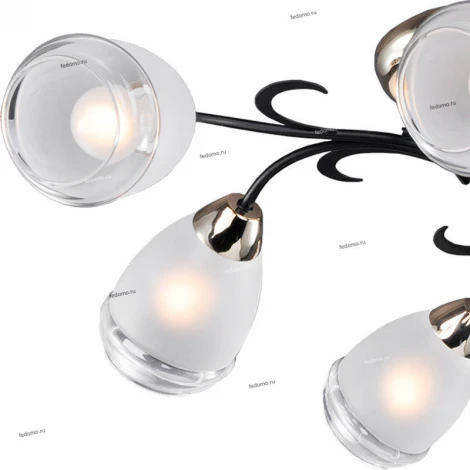 Потолочная люстра Lussole Lgo Oakland LSP-9952