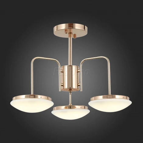 Потолочная люстра ST Luce Pratico SLE120.202.03