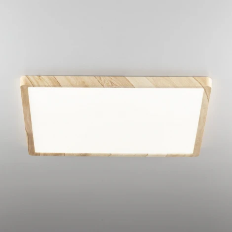 Настенно-потолочный светильник Citilux Бейсик CL738K502V (регулировка яркости, LED, 220V, IP40)