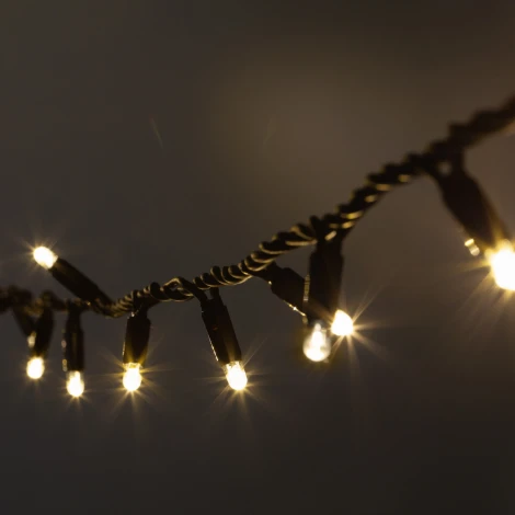 Гирлянда светодиодная Нить уличная 10 м теплый белый свет ЭРА ERAPS-NK10