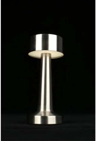 Настольная лампа светодиодная с выключателем Aployt Perrayn APL.671.14.01 (220V, круглые)