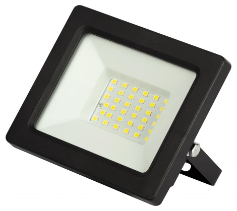 Прожектор уличный светодиодный с датчиком освещенности ЭРА LPR-04 LPR-042-3-65K-030