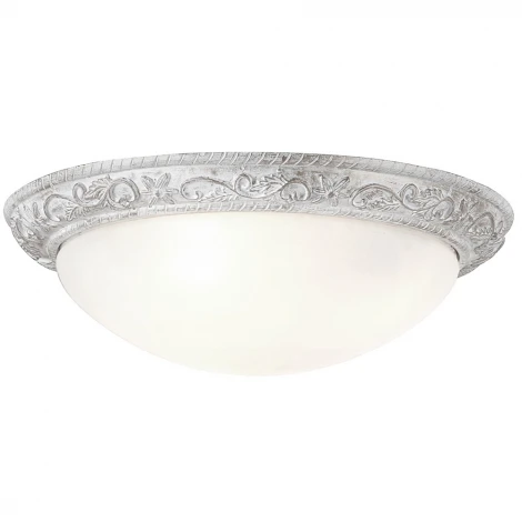 Потолочный светильник Globo delta 48830-2