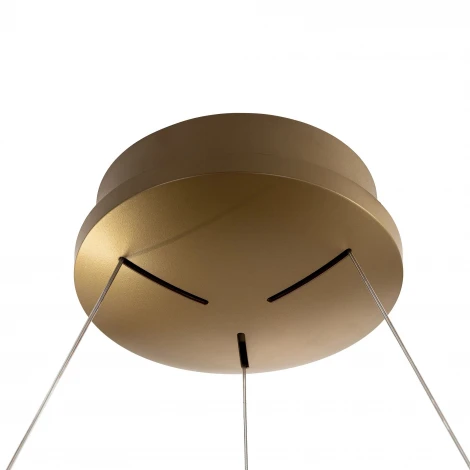 Подвесной светильник с гибким неоном и пультом Citilux Python CL220263 (регулировка яркости, LED, на тросе)