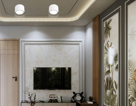 Накладной точечный светильник Ambrella Techno Spot TN5303 (220V, круглые)