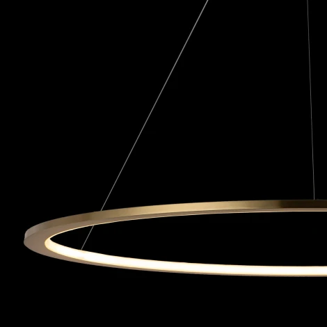 Подвесной светильник Loft IT Ring 10014L (LED, 220V, на тросе, кольцо)