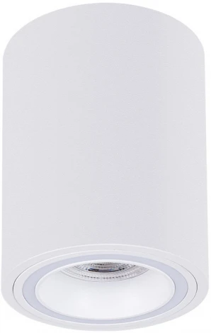 Накладной светильник Arte Lamp Imai A2267PL-1WH (220V, круглые)