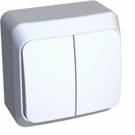 Выключатель накладной двухклавишный с подсветкой (белый) Systeme Electric BA10-006B