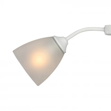 Потолочная люстра Vitaluce V3750/2PL