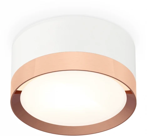 Накладной точечный светильник Ambrella Techno Spot XS8101006 (220V, круглые)