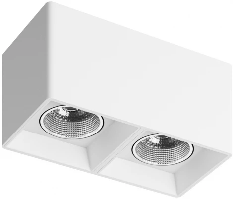 Накладной точечный светильник Denkirs DK3030 DK3085-WH+CH