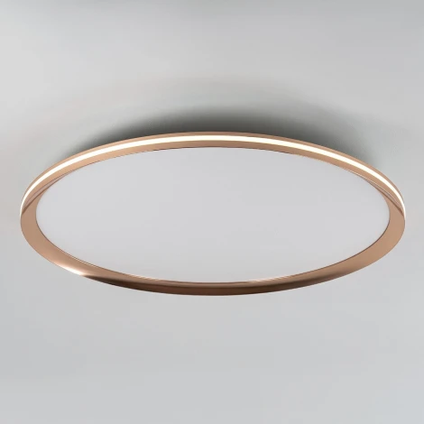 Потолочный светильник светодиодный с пультом с регулировкой цветовой температуры LED4U LED4U L3020-600 GD