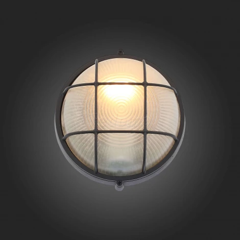 Настенный светильник уличный ST Luce Vecchio SL075.401.01