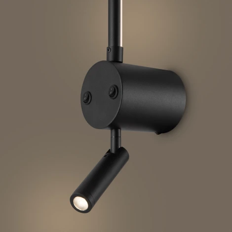 Настенный светильник светодиодный Freya Mystery FR6063WL-L24B