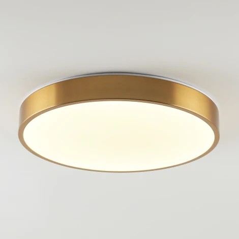 Потолочный светильник светодиодный Zortes Tortty ZRS.02566.72