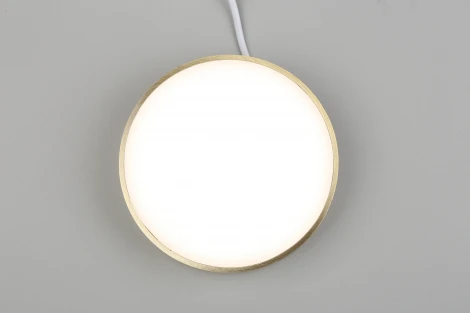 Потолочный светильник круглый Aployt Evon APL.0114.29.18 (LED, 220V, круглые)