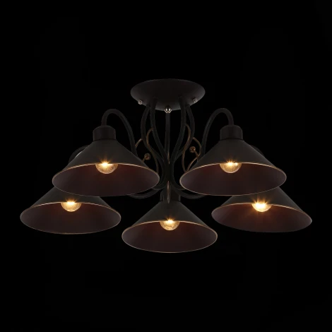 Потолочная люстра Evoluce Ciolla SLE120402-05 (220V)