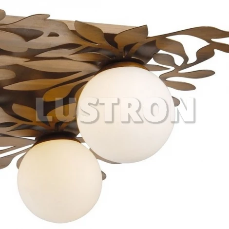 Потолочный светильник Arte Lamp Garden A9454PL-4BR