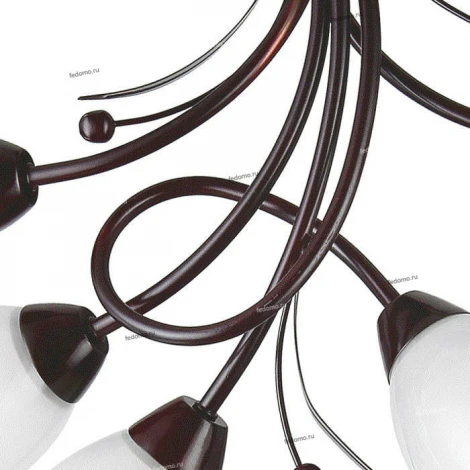 Toscom Natali TC-995-005