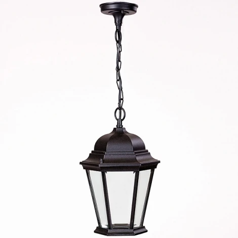 Уличный светильник подвесной Oasis Light 91405L Bl (220V, на цепи, IP44)
