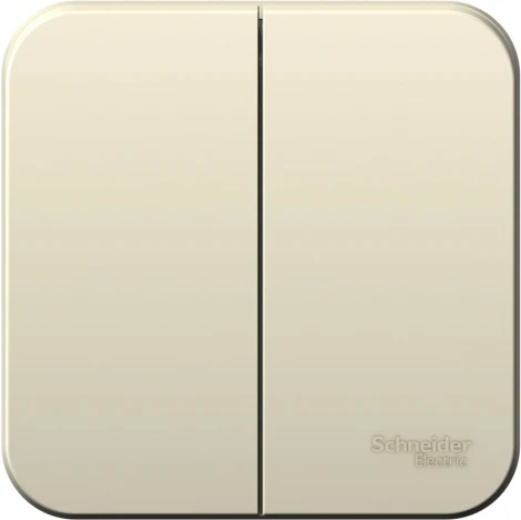 Выключатель накладной двухклавишный (молочный) Systeme Electric Blanca BLNVA105012