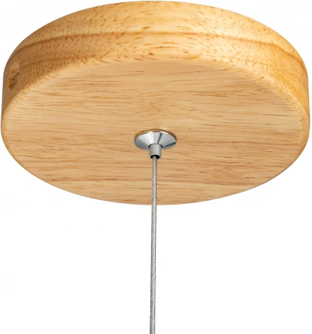 Подвесной светильник Ritter Racemo 52614 8