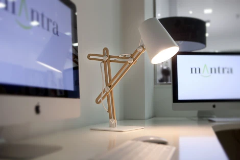 Интерьерная настольная лампа Mantra Looker 3614