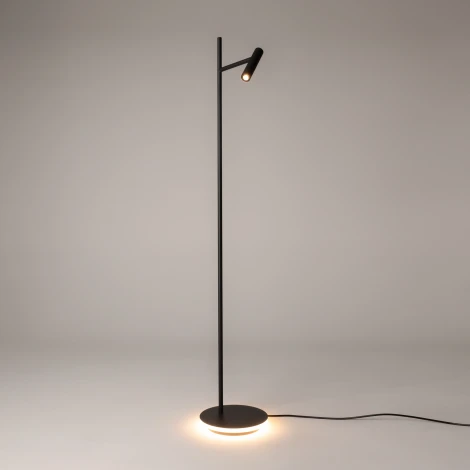 Торшер Maytoni Estudo Z010FL-L8B3K (LED, 220V, выключатель)