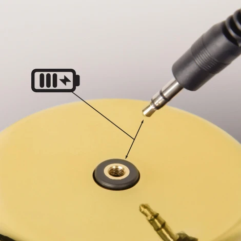 Настольная лампа Loft It Brothers 10233/E Gold (LED, 220V, выключатель)