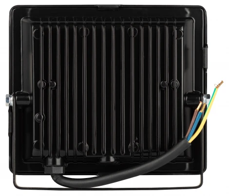 Прожектор уличный светодиодный с датчиком освещенности ЭРА LPR-04 LPR-042-3-65K-050