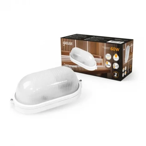 Настенно-потолочный светильник Gauss НБП 926602206 (IP54)