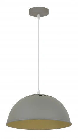 Подвесной светильник Arte Lamp Buratto A8173SP-1GY
