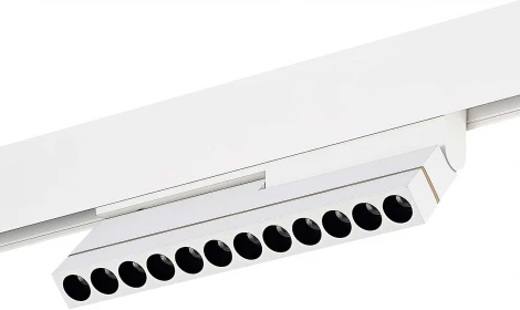 Трековый светильник Downlight магнитный 48V ST805 ST805.536.12 ST Luce (LED)