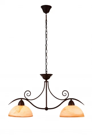 Подвесная люстра Arte Lamp Emily A2009LM-2BR