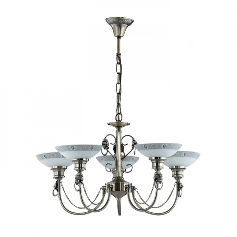 Подвесная люстра Odeon Light Rene 3213/5