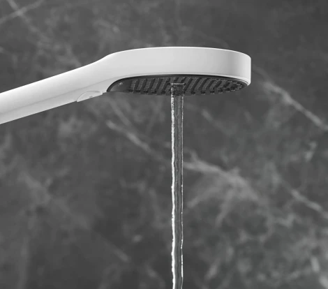 Душевая лейка Hansgrohe Rainfinity 26864700