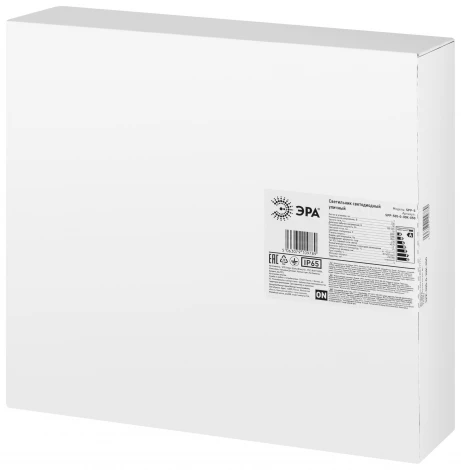 Уличный консольный светильник светодиодный ЭРА SPP-5 SPP-505-0-30K-050