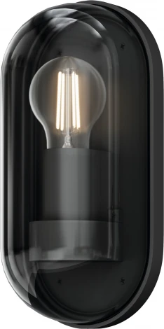 Настенный уличный светильник Maytoni Candle O449WL-01GF (220V, IP65)