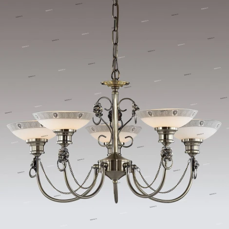 Подвесная люстра Odeon Light Rene 3213/5