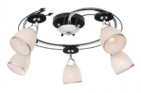 Потолочная люстра Silver Light Austerity 223.59.5