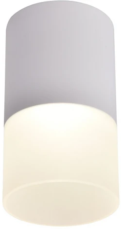 Накладной светильник Naram 3069-1C Favourite (LED, 220V, круглые)