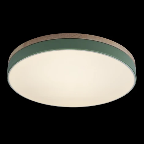 Потолочный светильник круглый Loft IT Axel 10001/36 Green (LED, 220V, круглые)