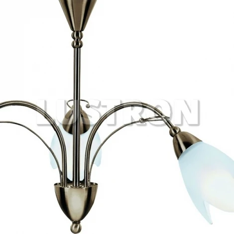 Потолочная люстра Arte Lamp Petal A4905LM-3AB
