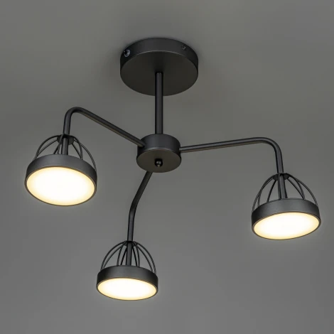 Потолочная люстра светодиодная на штанге Ritter Mattino 51593 1