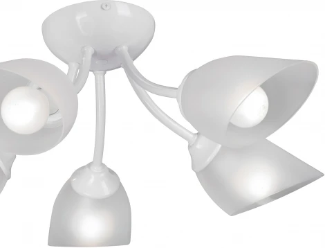 Потолочная люстра Vitaluce V3405-0/5PL (220V)